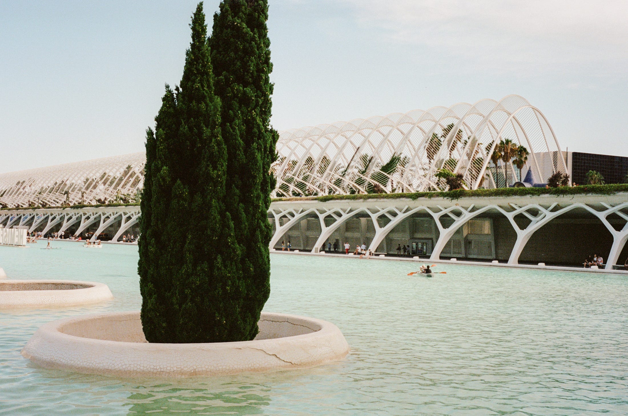 The local park (no big deal) in Valencia. July 2022