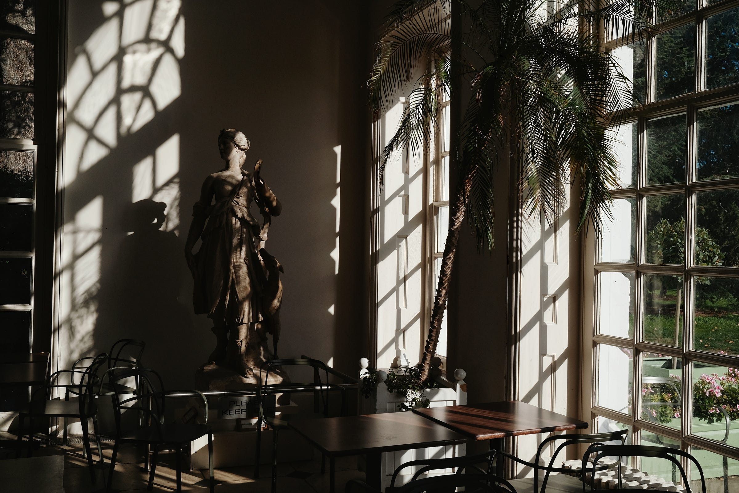 Late afternoon light in Kew Gardens. London 2022
