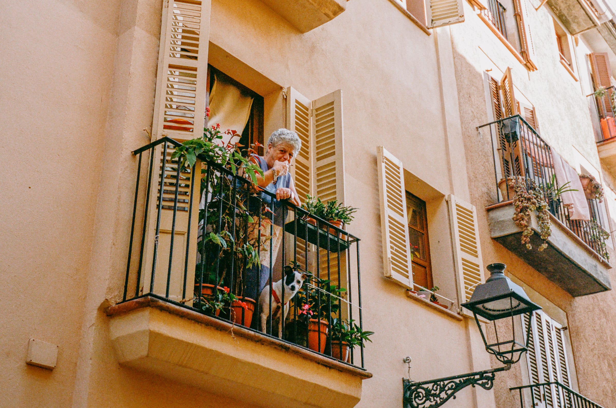 A woman looks out her balcony, and her little buddy follows suit. Palma 2022