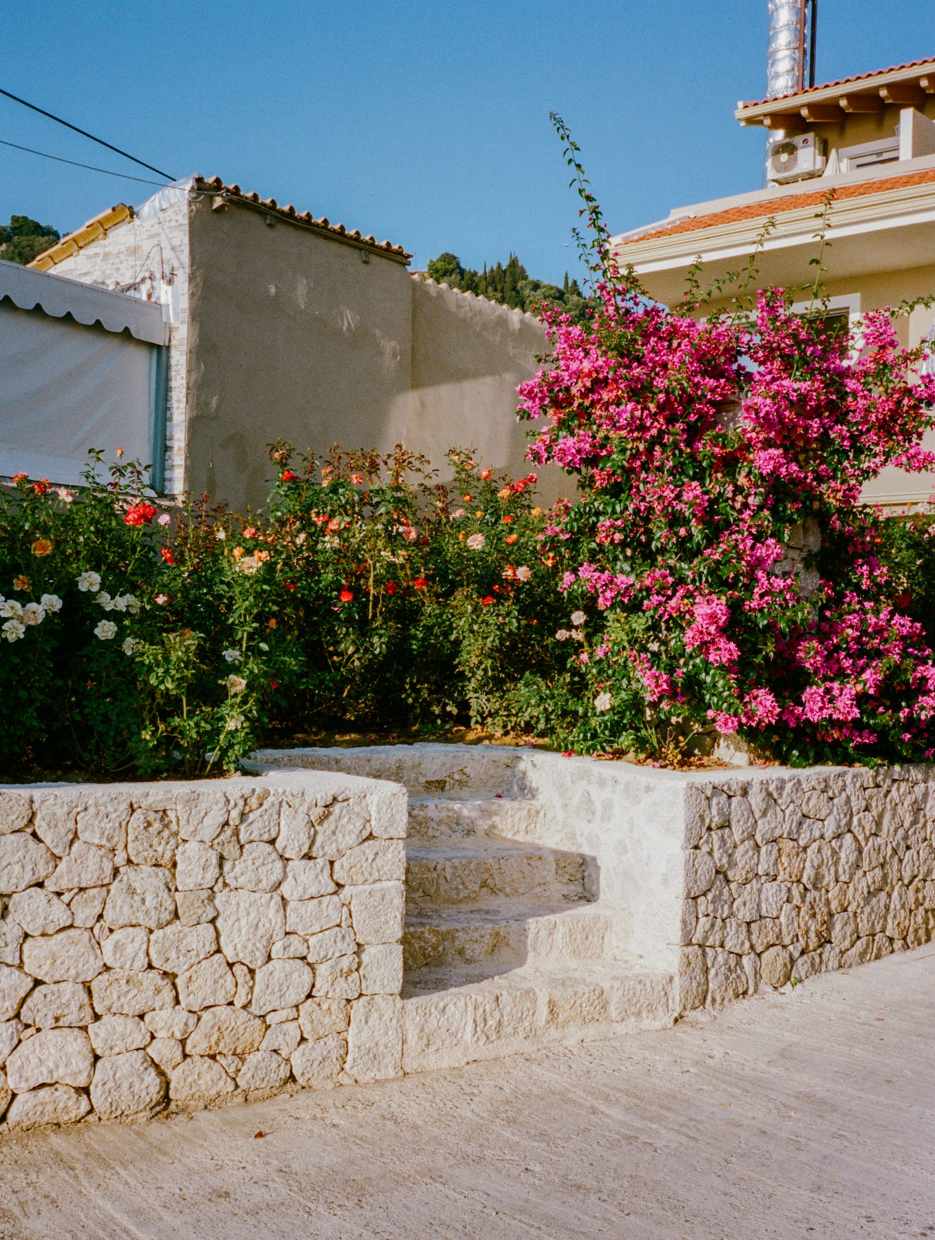 Steps to the garden of earthly delights (not the painting). Corfu 2021