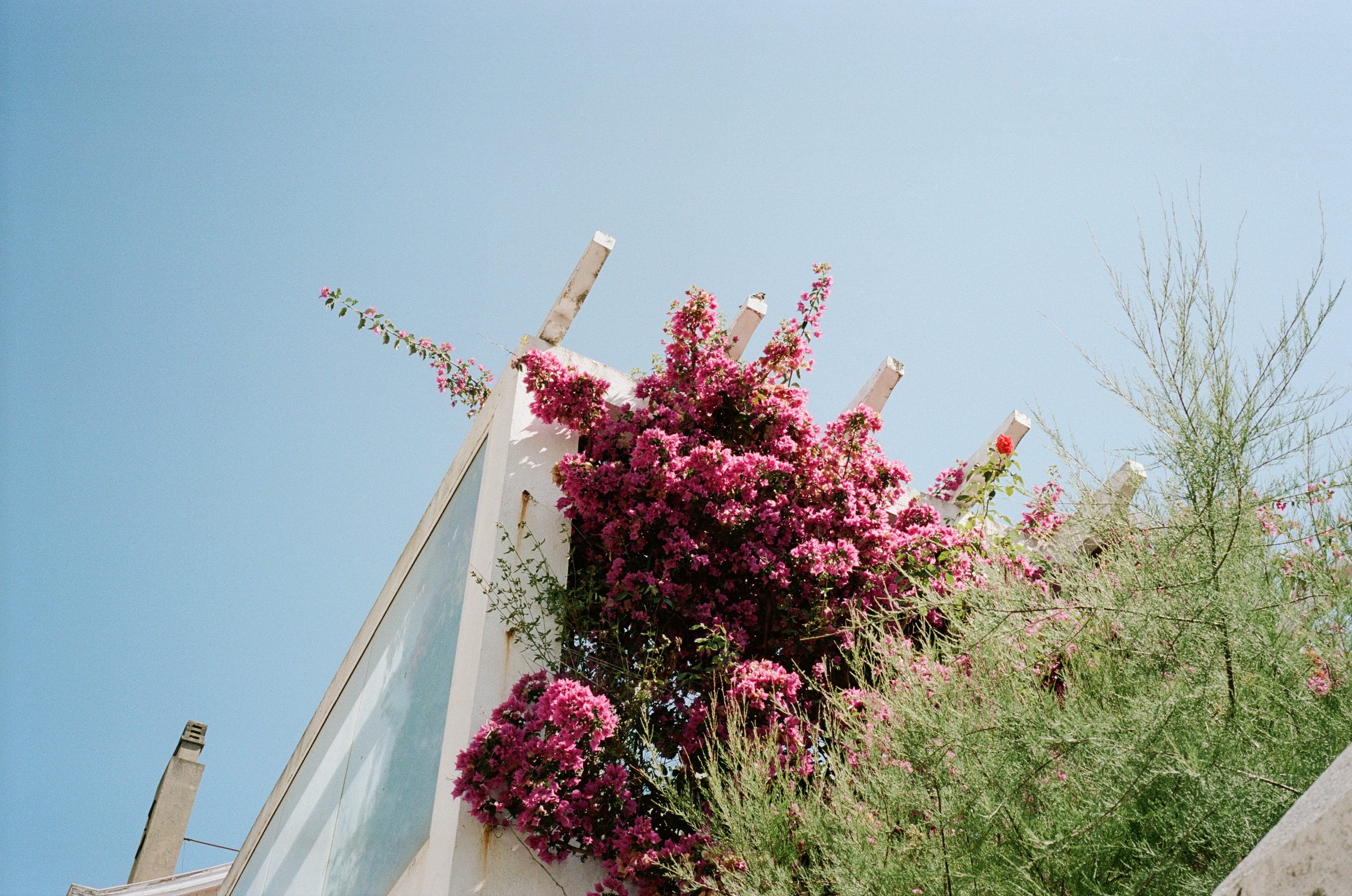 A pink cloud crosses an expanse of blue sky. Biarritz 2022