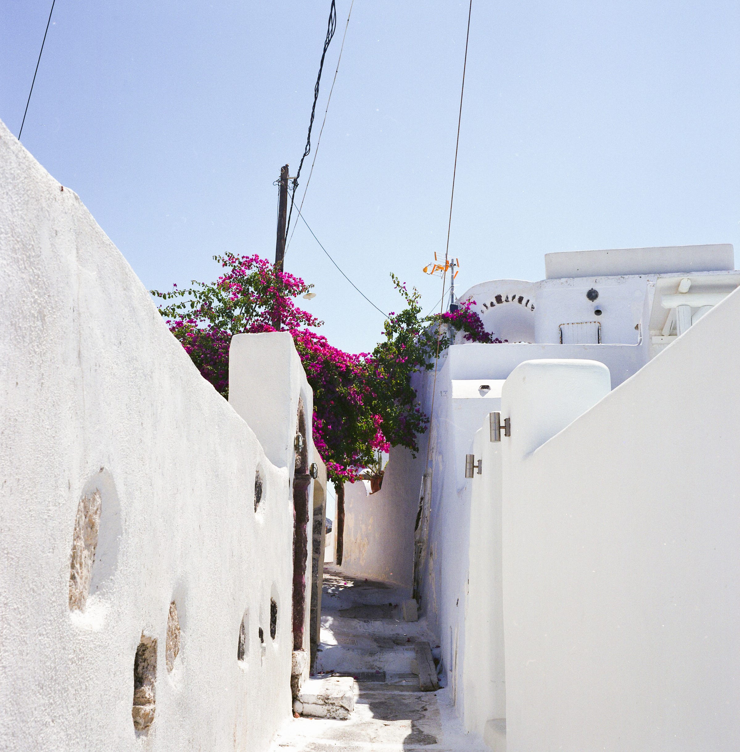 An awning of flowers draped lazily over an alleyway. Santorini 2017