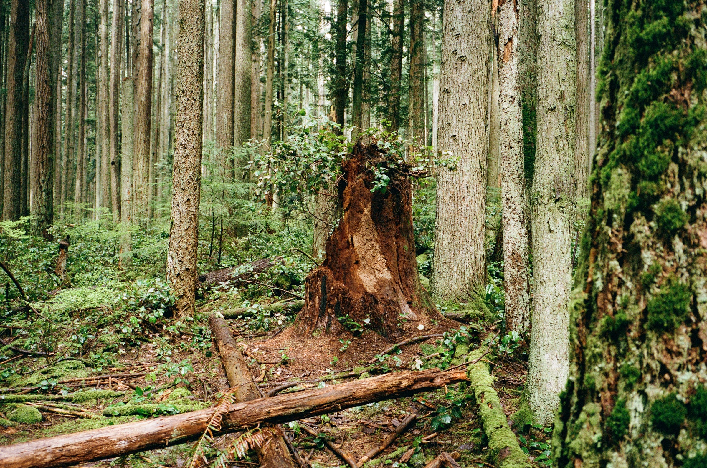 X marks the spot. Vancouver 2023