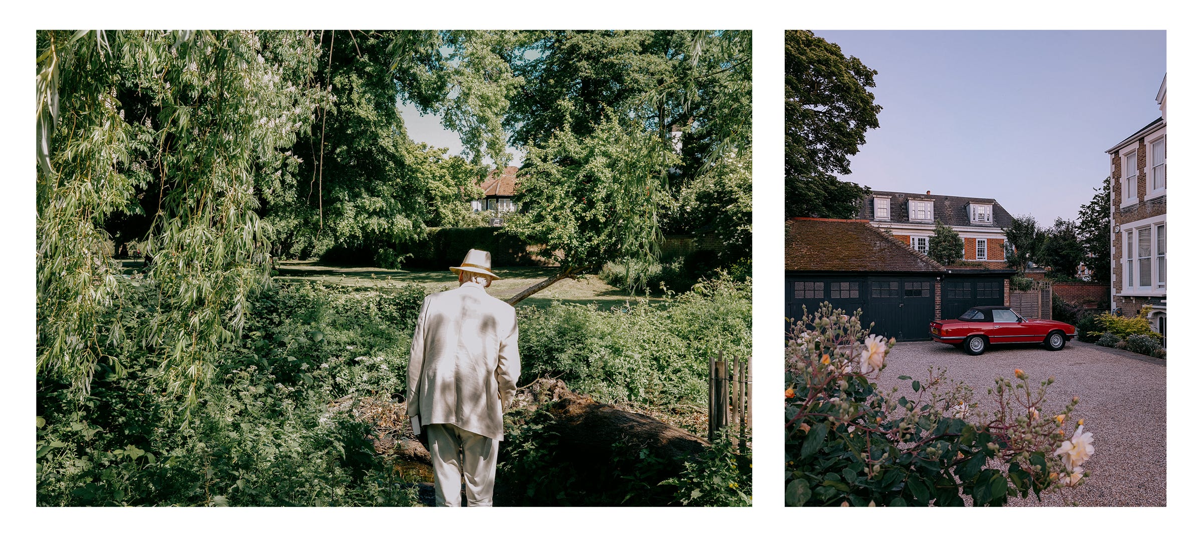 A diptych of the neighbourhood, leafy and quiet. London, 2025