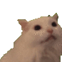 :aah: :aah: